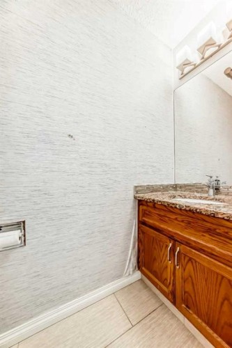 207 Eldorado Close Ne, Calgary, AB -  Photo Showing Bathroom