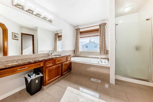 207 Eldorado Close Ne, Calgary, AB - Indoor Photo Showing Bathroom