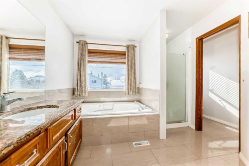 207 Eldorado Close Ne, Calgary, AB - Indoor Photo Showing Bathroom