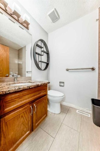 207 Eldorado Close Ne, Calgary, AB - Indoor Photo Showing Bathroom