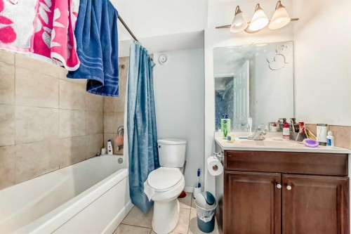 207 Eldorado Close Ne, Calgary, AB - Indoor Photo Showing Bathroom