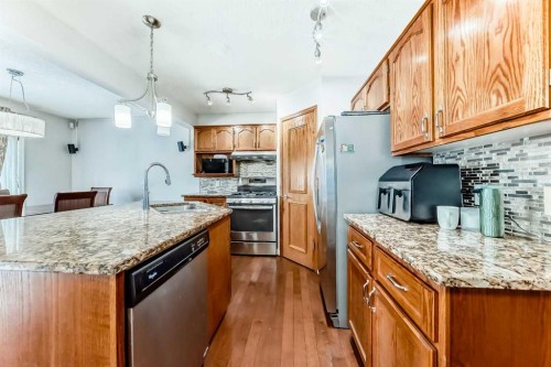207 Eldorado Close Ne, Calgary, AB - Indoor Photo Showing Kitchen With Upgraded Kitchen