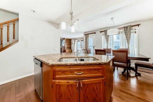 207 Eldorado Close Ne, Calgary, AB - Indoor Photo Showing Kitchen With Double Sink