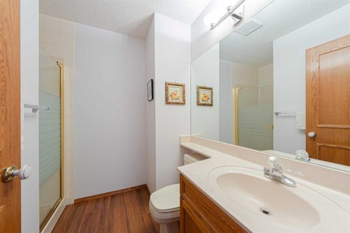 20 Somerset Drive Sw, Calgary, AB - Indoor Photo Showing Bathroom