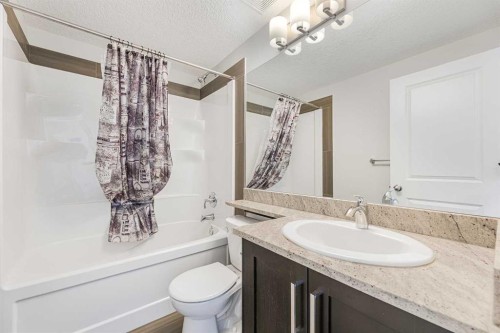 108 Jumping Pound Common, Cochrane, AB - Indoor Photo Showing Bathroom