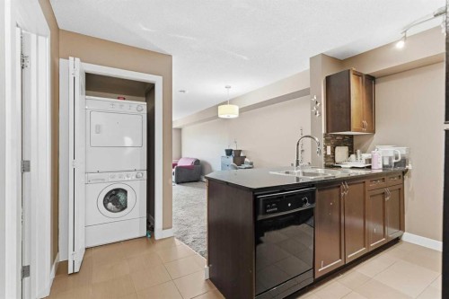 413-7110 80 Avenue Ne, Calgary, AB - Indoor Photo Showing Laundry Room