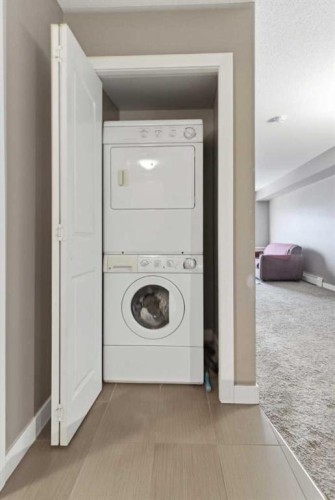 413-7110 80 Avenue Ne, Calgary, AB - Indoor Photo Showing Laundry Room