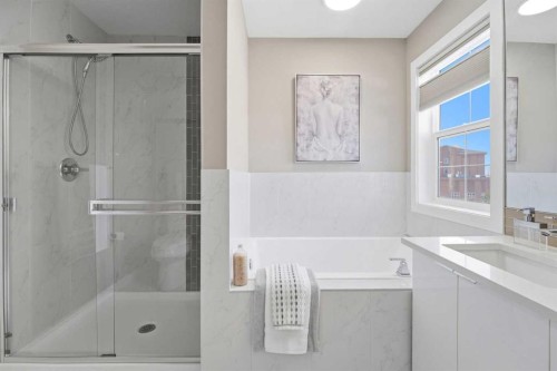 101 Ranch Rise, Strathmore, AB - Indoor Photo Showing Bathroom