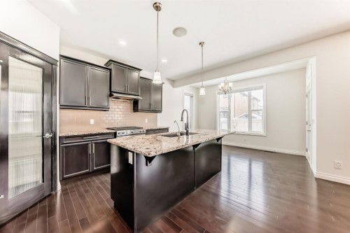 76 Saddlelake Green Ne, Calgary, AB - Indoor Photo Showing Kitchen With Upgraded Kitchen