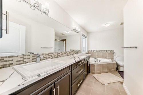 76 Saddlelake Green Ne, Calgary, AB - Indoor Photo Showing Bathroom
