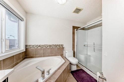 76 Saddlelake Green Ne, Calgary, AB - Indoor Photo Showing Bathroom