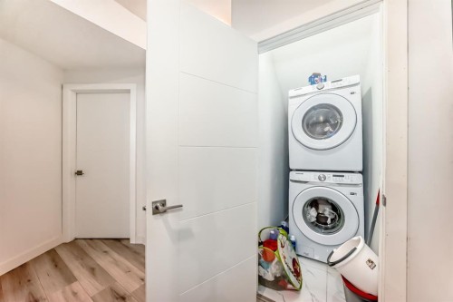 76 Saddlelake Green Ne, Calgary, AB - Indoor Photo Showing Laundry Room