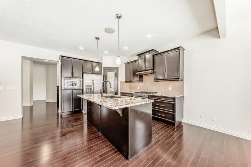 76 Saddlelake Green Ne, Calgary, AB - Indoor Photo Showing Kitchen With Upgraded Kitchen