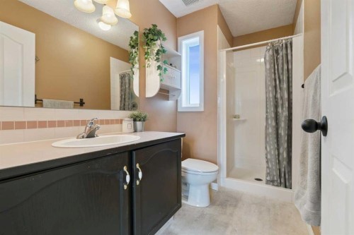 107 Downey Place, Okotoks, AB - Indoor Photo Showing Bathroom