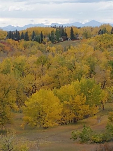 788 Parkridge Drive Se, Calgary, AB - Outdoor With View