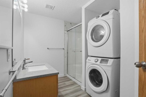 523 Martindale Drive Ne, Calgary, AB - Indoor Photo Showing Laundry Room