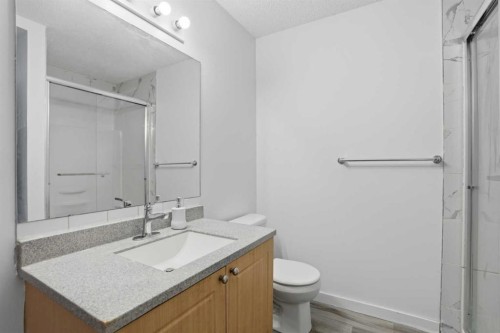 523 Martindale Drive Ne, Calgary, AB - Indoor Photo Showing Bathroom