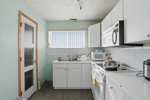 523 Martindale Drive Ne, Calgary, AB - Indoor Photo Showing Kitchen With Double Sink