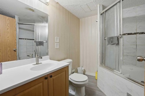 523 Martindale Drive Ne, Calgary, AB - Indoor Photo Showing Bathroom
