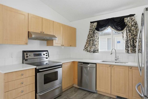 523 Martindale Drive Ne, Calgary, AB - Indoor Photo Showing Kitchen With Stainless Steel Kitchen With Double Sink
