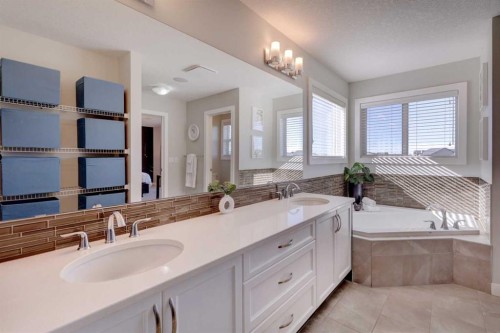 213 Kingsmere Cove Se, Airdrie, AB - Indoor Photo Showing Bathroom