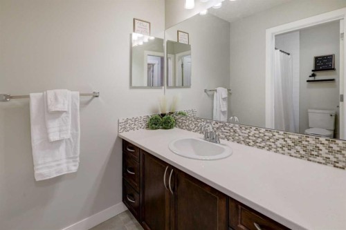 213 Kingsmere Cove Se, Airdrie, AB - Indoor Photo Showing Bathroom