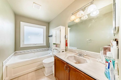 49 Applewood Court Se, Calgary, AB - Indoor Photo Showing Bathroom