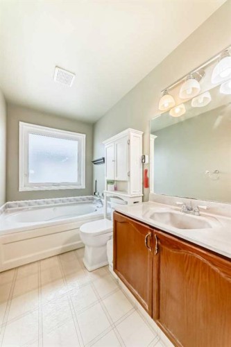 49 Applewood Court Se, Calgary, AB - Indoor Photo Showing Bathroom