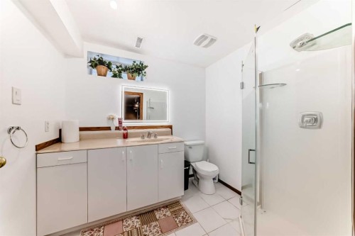 49 Applewood Court Se, Calgary, AB - Indoor Photo Showing Bathroom