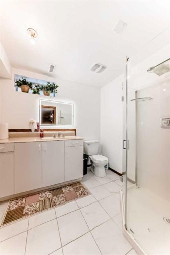 49 Applewood Court Se, Calgary, AB - Indoor Photo Showing Bathroom