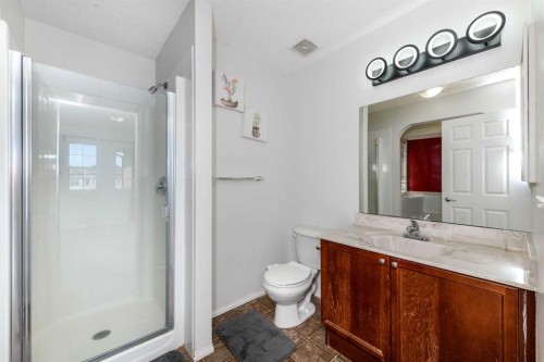 228 Saddlecrest Way Ne, Calgary, AB - Indoor Photo Showing Bathroom