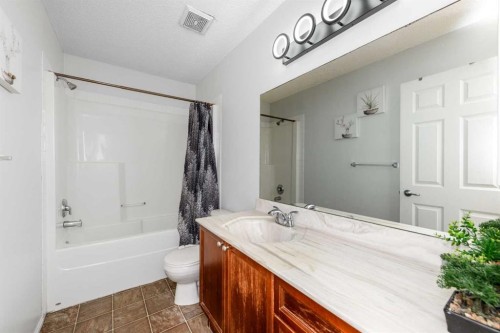 228 Saddlecrest Way Ne, Calgary, AB - Indoor Photo Showing Bathroom