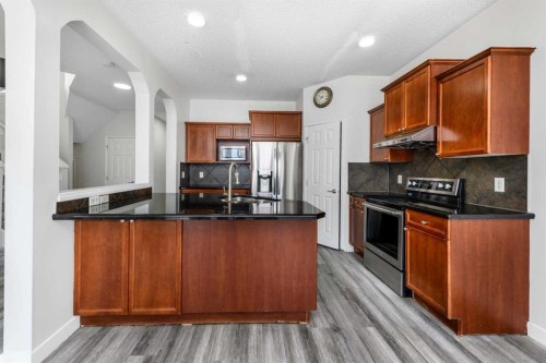 228 Saddlecrest Way Ne, Calgary, AB - Indoor Photo Showing Kitchen With Stainless Steel Kitchen
