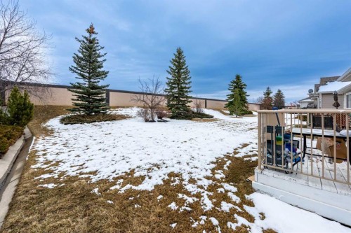 192 Cove Rise Rise, Chestermere, AB - Outdoor