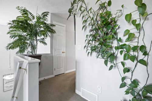 465 Panamount Boulevard Nw, Calgary, AB - Indoor