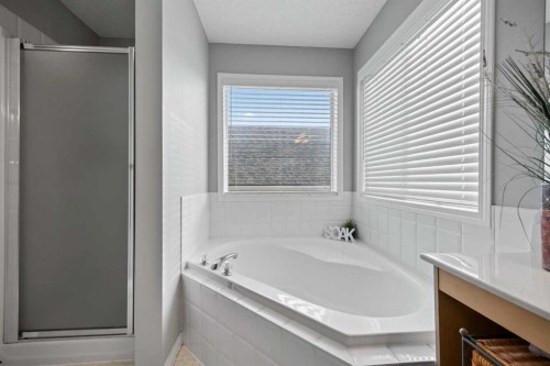 465 Panamount Boulevard Nw, Calgary, AB - Indoor Photo Showing Bathroom