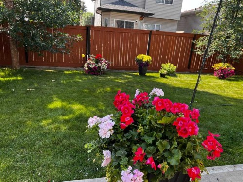 465 Panamount Boulevard Nw, Calgary, AB - Outdoor