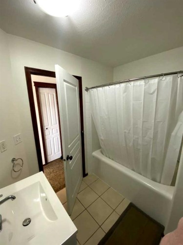 45 Lyons Close, Red Deer, AB - Indoor Photo Showing Bathroom