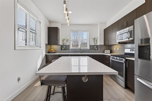 252 Walden Path Se, Calgary, AB - Indoor Photo Showing Kitchen With Stainless Steel Kitchen With Upgraded Kitchen