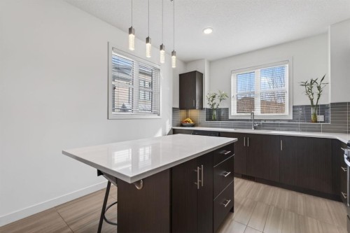 252 Walden Path Se, Calgary, AB - Indoor Photo Showing Kitchen