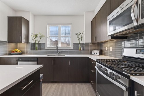 252 Walden Path Se, Calgary, AB - Indoor Photo Showing Kitchen With Upgraded Kitchen