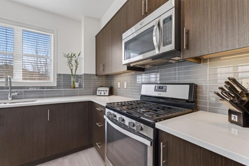 252 Walden Path Se, Calgary, AB - Indoor Photo Showing Kitchen With Stainless Steel Kitchen With Upgraded Kitchen