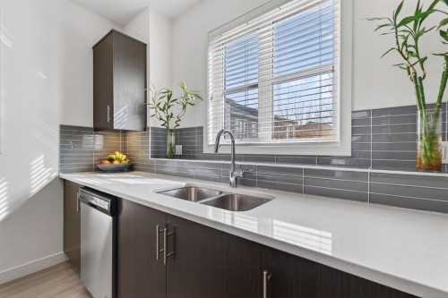 252 Walden Path Se, Calgary, AB - Indoor Photo Showing Kitchen With Double Sink With Upgraded Kitchen