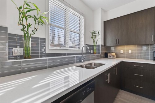 252 Walden Path Se, Calgary, AB - Indoor Photo Showing Kitchen With Double Sink With Upgraded Kitchen