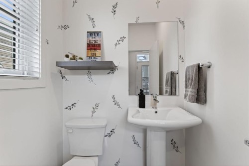 252 Walden Path Se, Calgary, AB - Indoor Photo Showing Bathroom