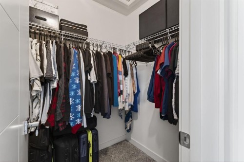252 Walden Path Se, Calgary, AB - Indoor With Storage