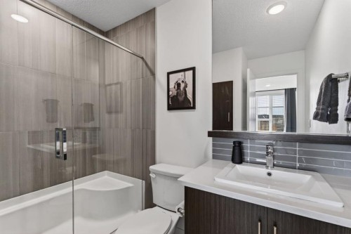 252 Walden Path Se, Calgary, AB - Indoor Photo Showing Bathroom