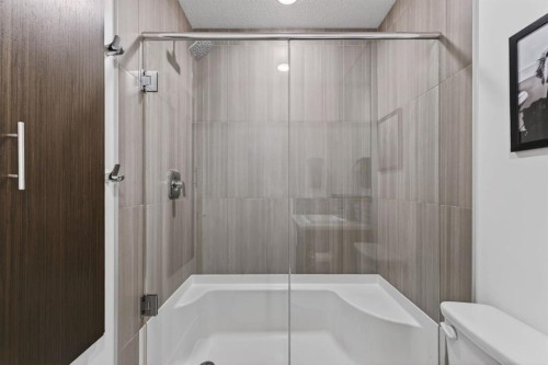 252 Walden Path Se, Calgary, AB - Indoor Photo Showing Bathroom