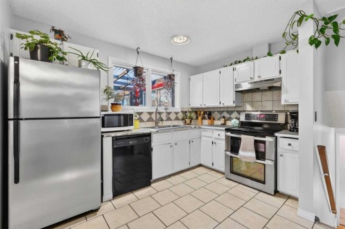 928 Pinecliff Drive Ne, Calgary, AB - Indoor Photo Showing Kitchen With Double Sink