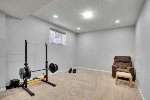 148 Savanna Close Ne, Calgary, AB - Indoor Photo Showing Gym Room